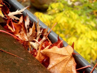 Seasonal Gutter Cleaning